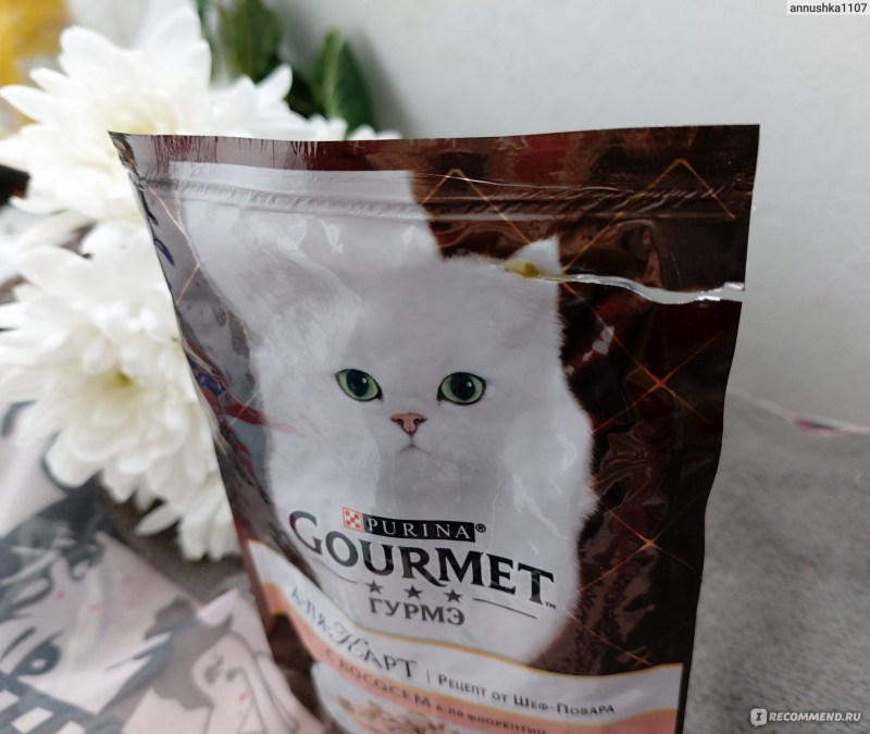 Кот из рекламы Гурмэ