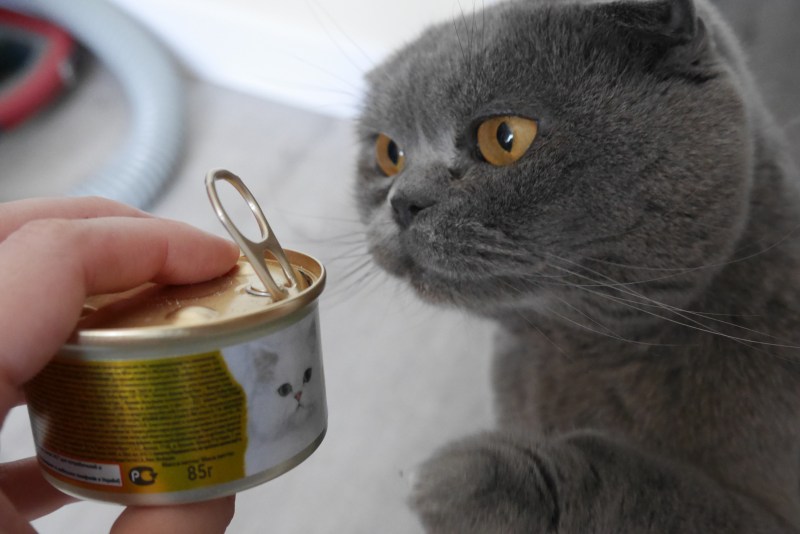 Корм Gourmet лосось