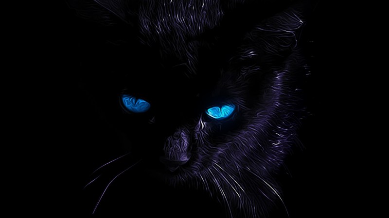 Чёрная кошка с голубыми глазами