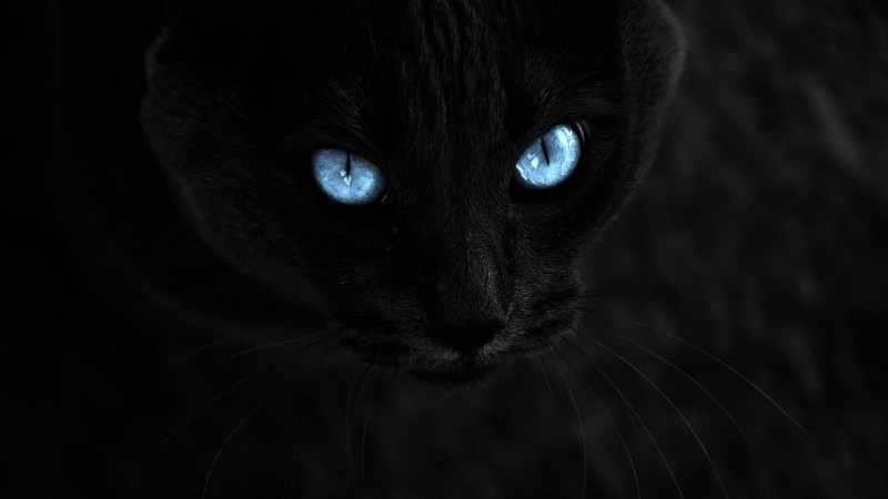 Кот Охос азулес черный