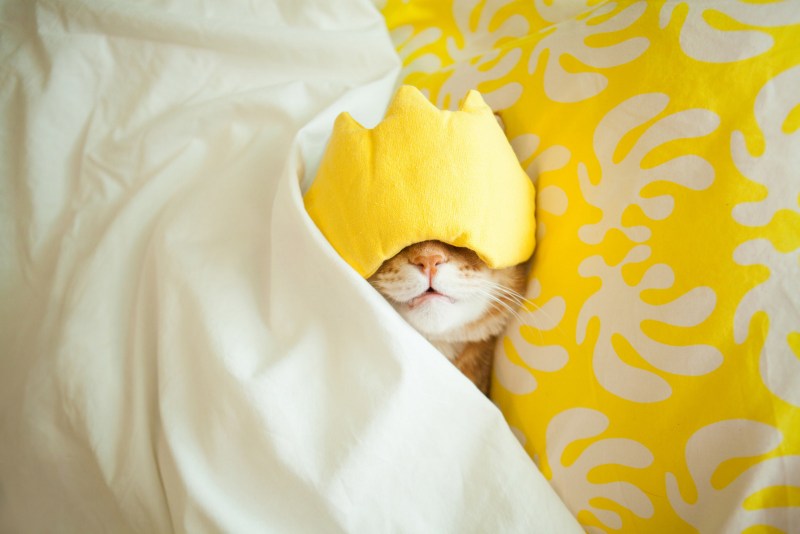 Котик в пижаме доброе утро