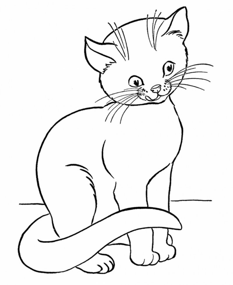 Кот раскраска для детей