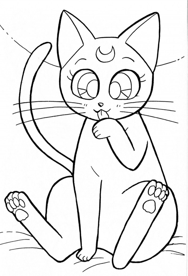 Котенок для раскрашивания