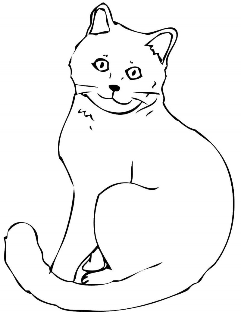 Раскраска кот