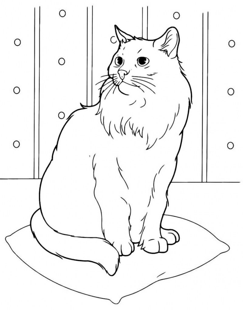 Кошка раскраска для детей
