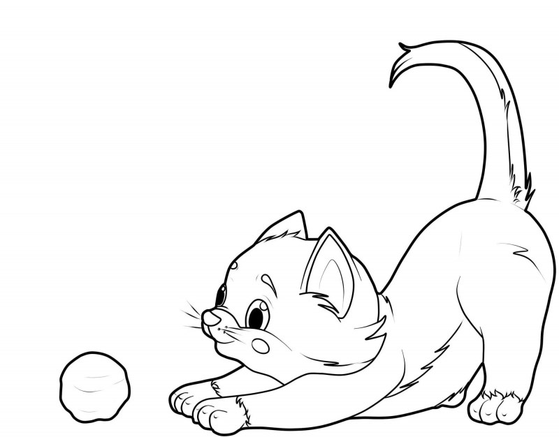 Кошки. Раскраска