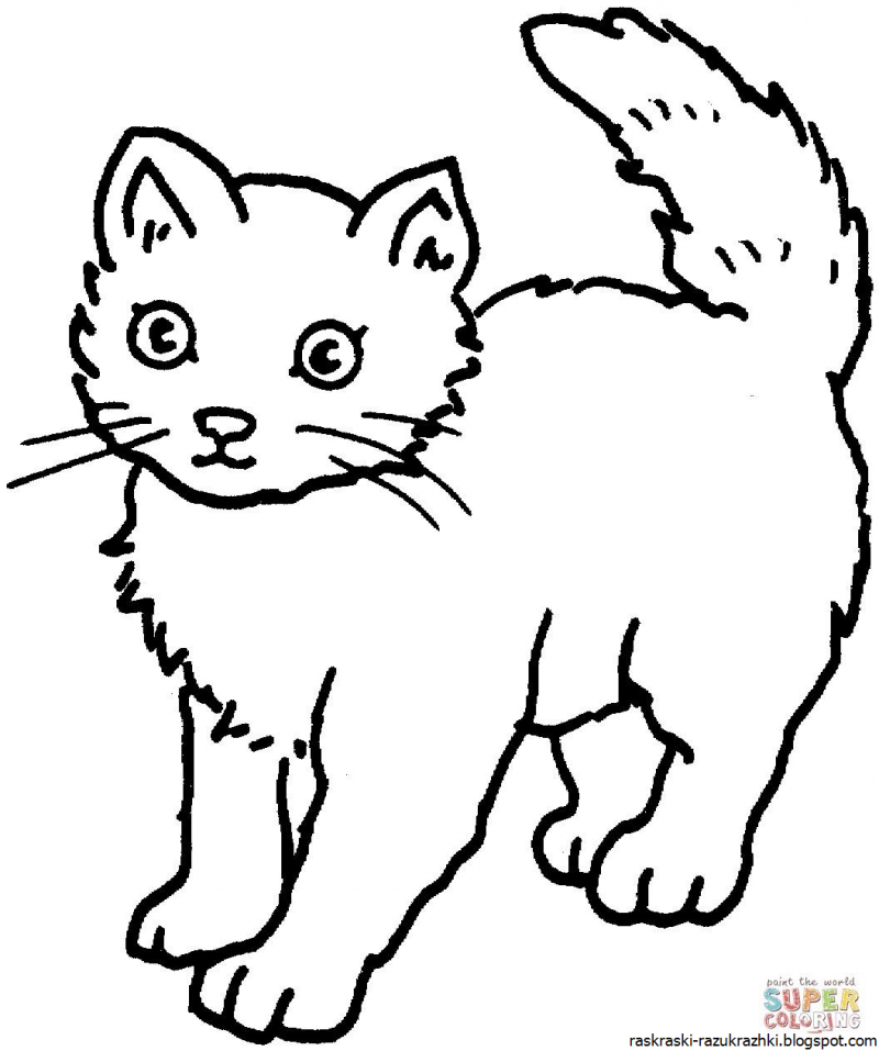 Разукрашка кошка