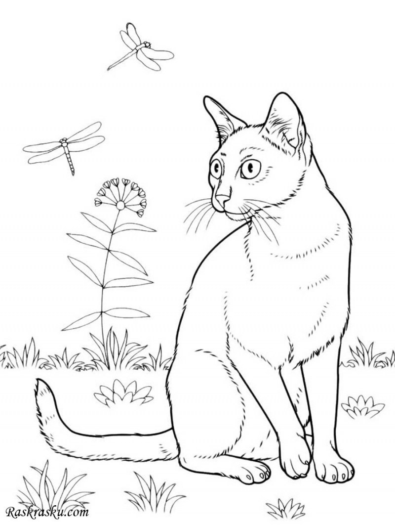 Кошка для раскрашивания