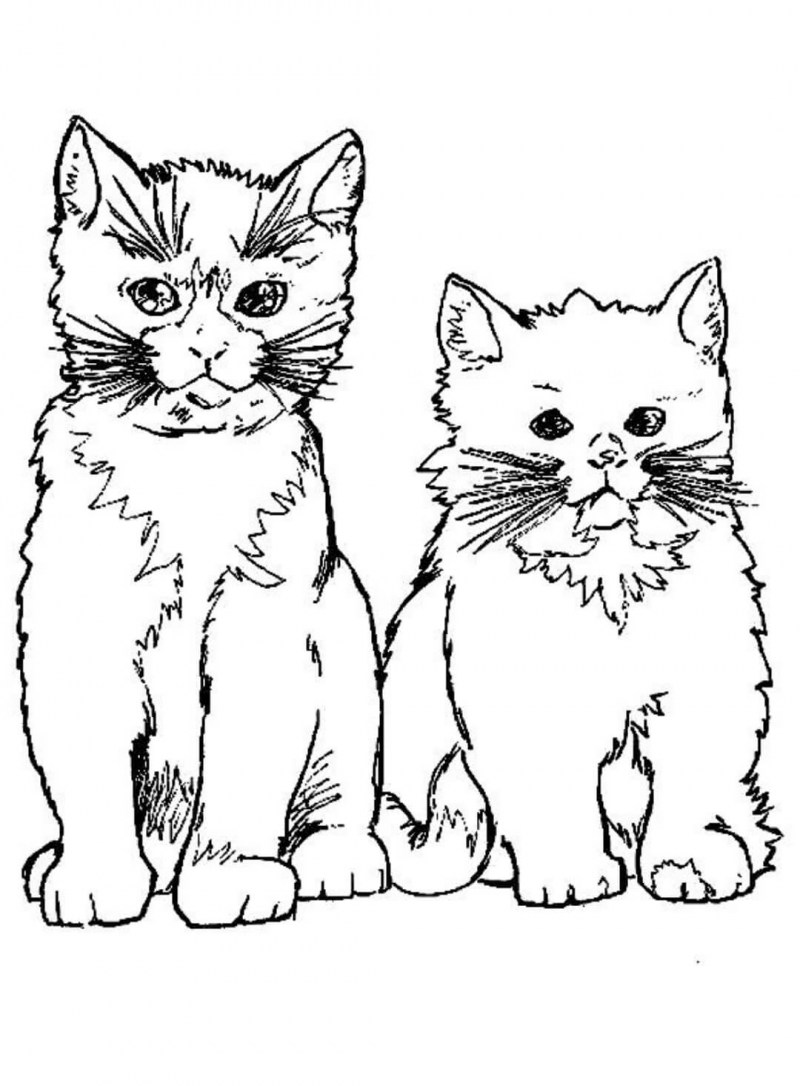 Котики. Раскраска для малышей