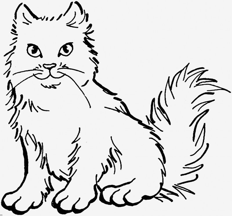 Раскраска. Котики
