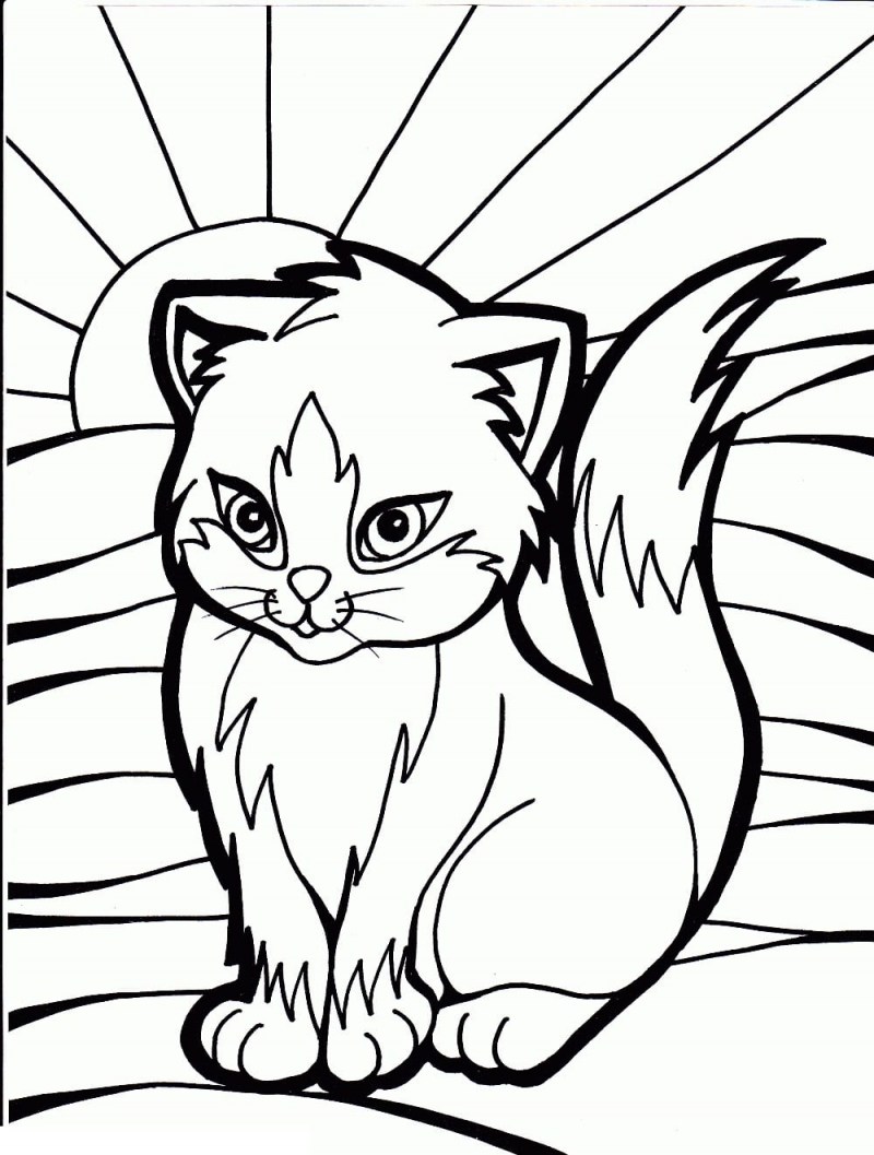 Раскраска кот