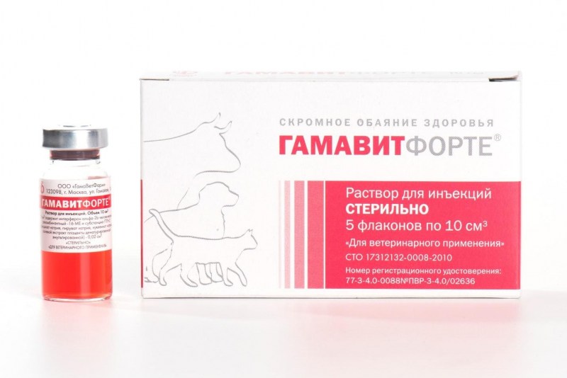 Гамавита витамины ампулы