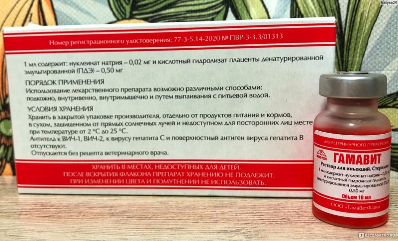 Гамавит препарат для животных инструкция