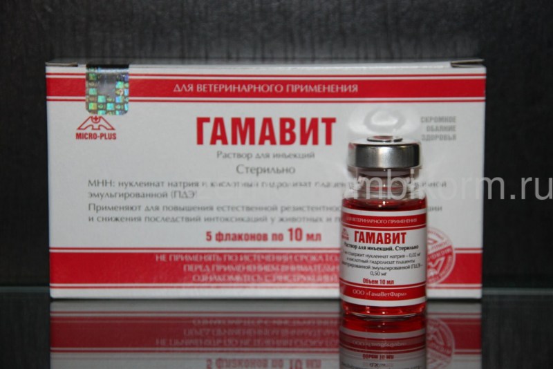 Гамавит, 5 фл. По 6 мл.