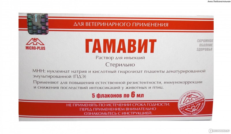 Вакцина гамавит