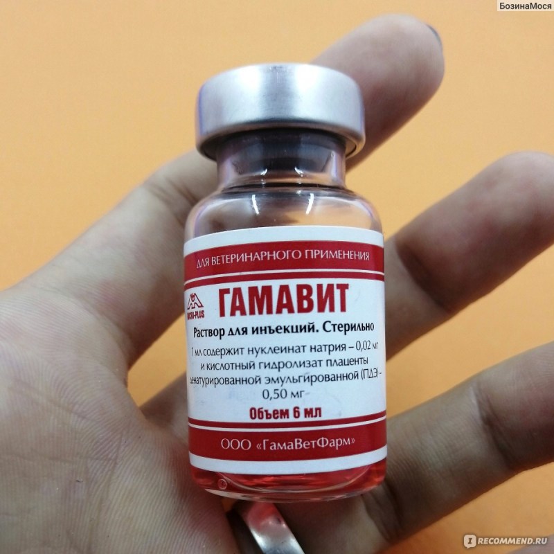 Гамавит форте