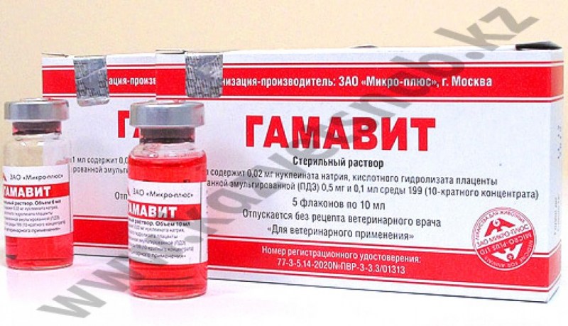 Гамавита витамины ампулы