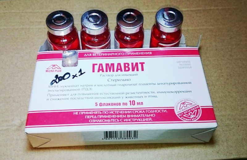 Гамавит витамины ампулы