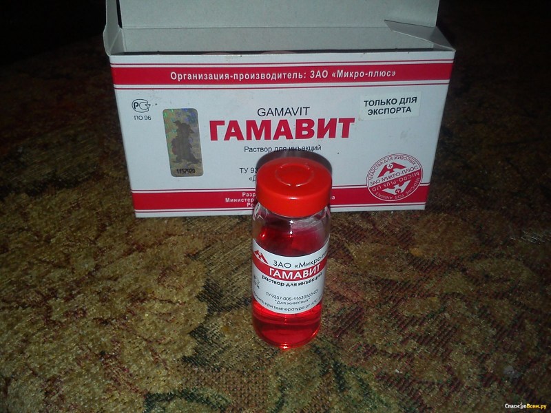 Гамавит 2 мл для кошек
