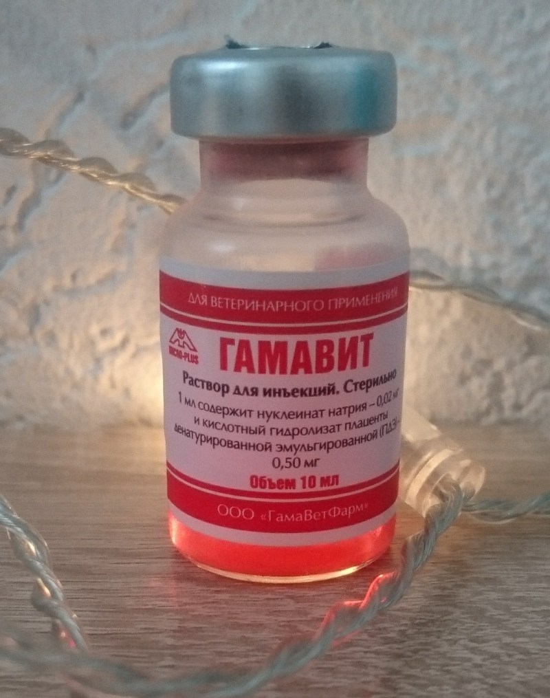 Гамавит самая маленькая ампулка