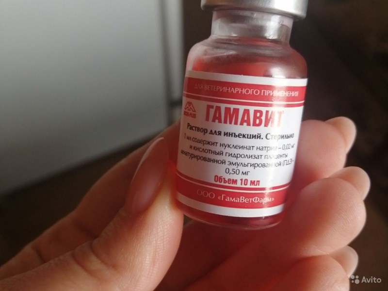 Гамавит витамины