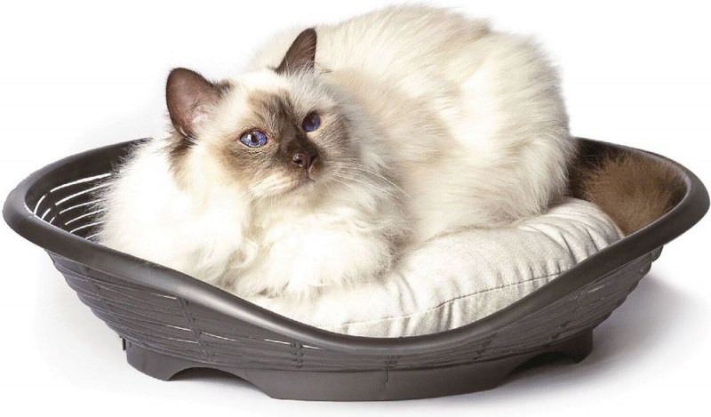 Bama Pet лежанка с подушкой Pasha 48х46х11h см, коричневый