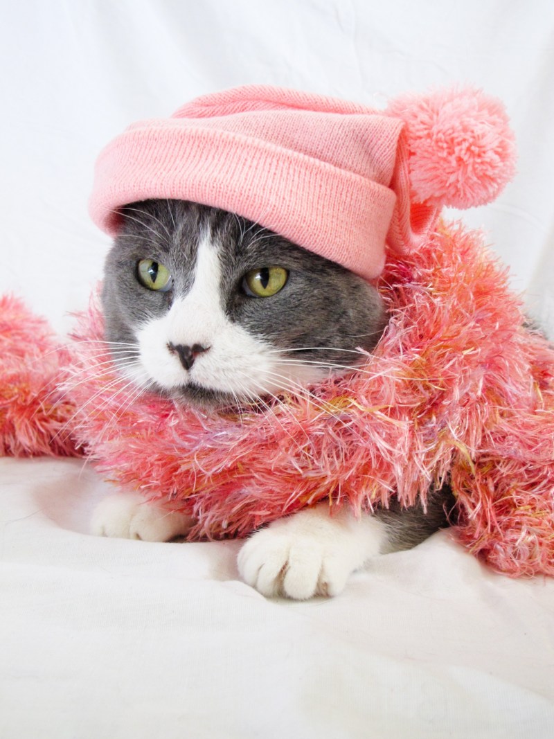 Шапка 'кошка'