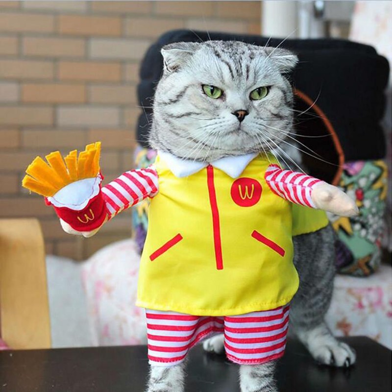 Костюм кошки
