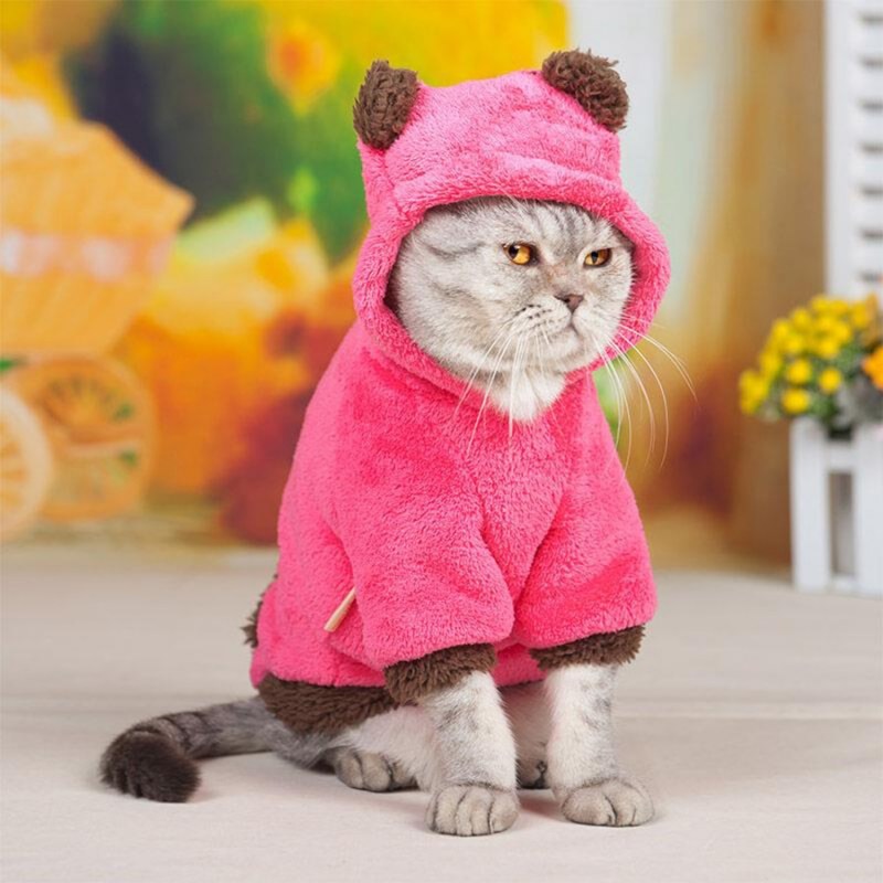 Котята в одежде