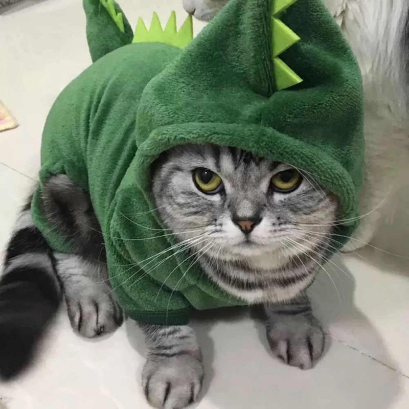 Костюм кошки