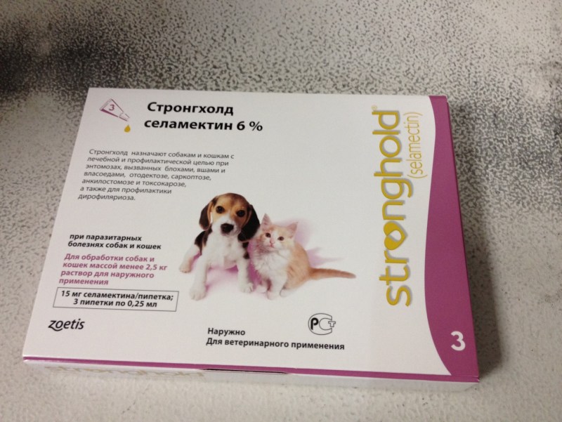 Капли от паразитов для котят стронгхолд