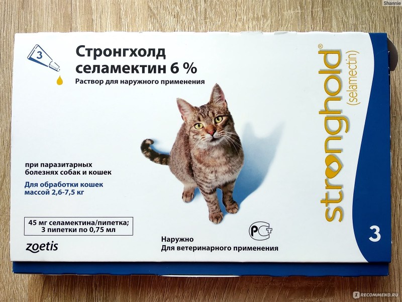 Капли стронгхолд для котят