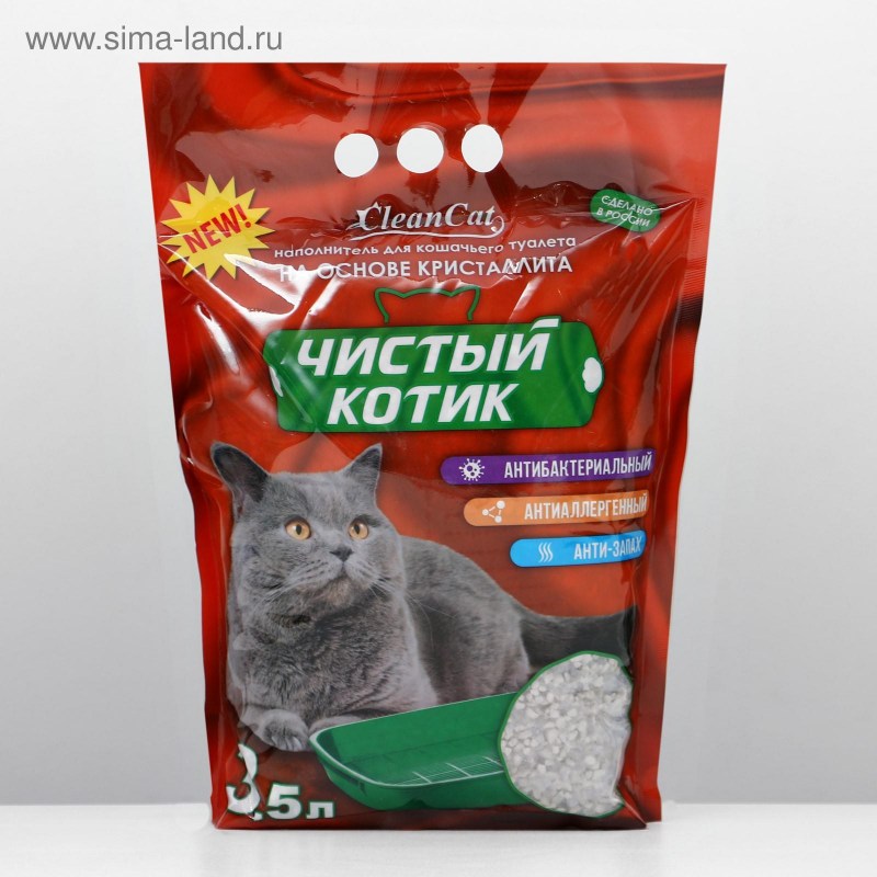 Би би си кошки