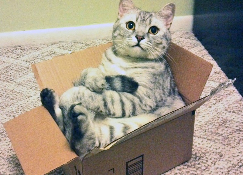 Коробка для кота