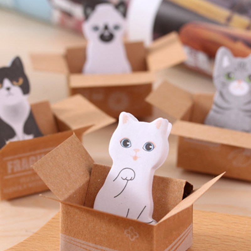 Котики в коробках