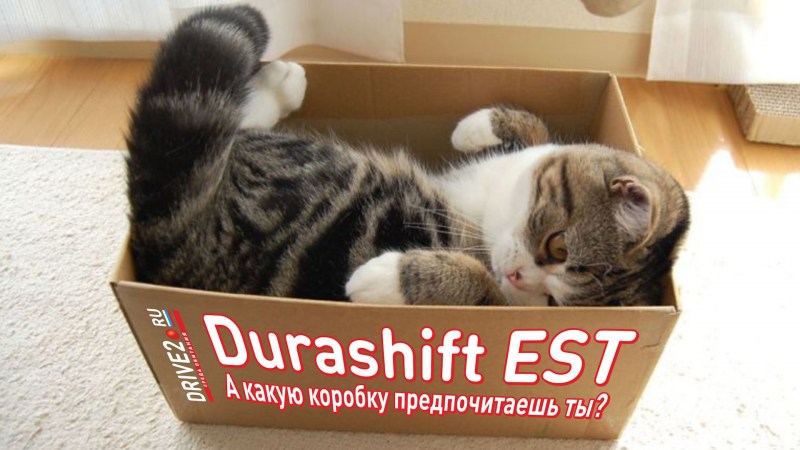Смешные коты в коробках