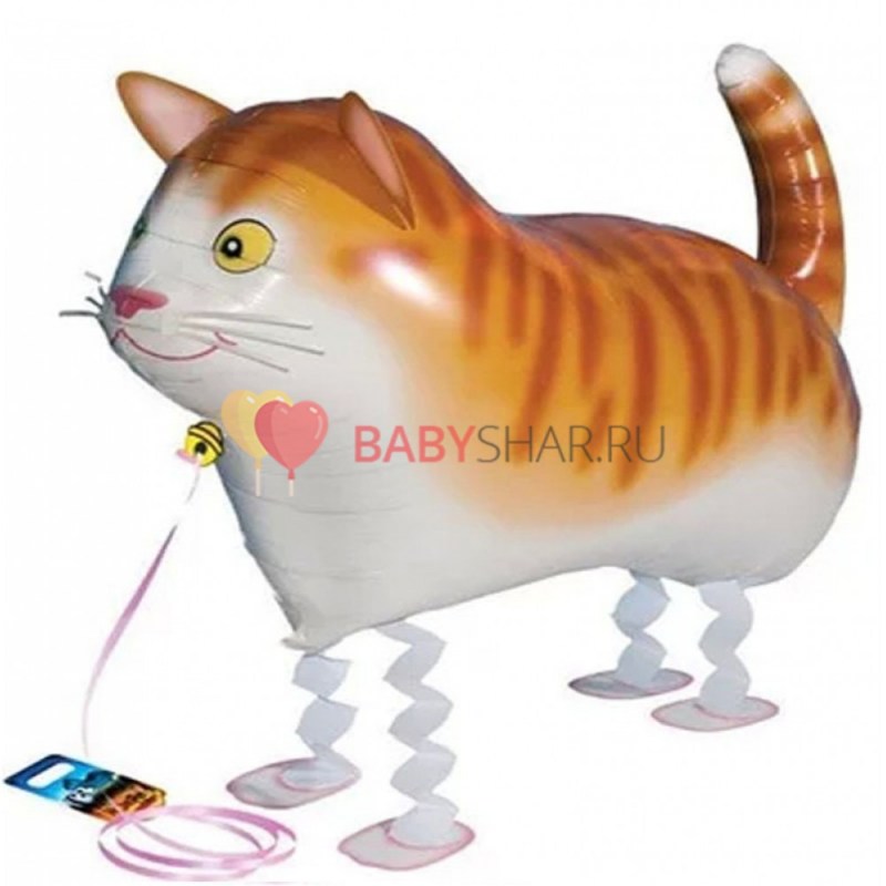 Шарик Ходячий кот