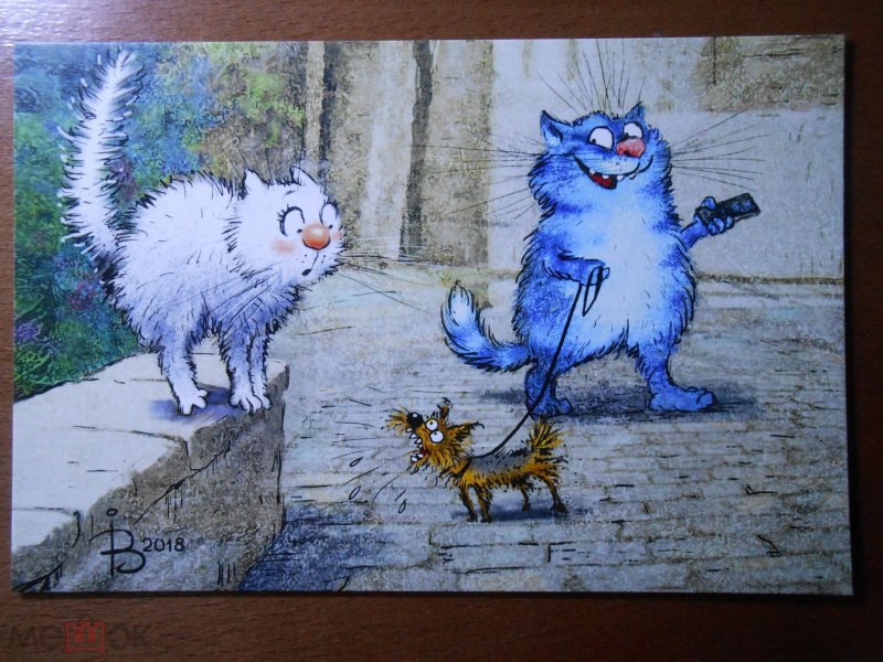 Фэнтези кошки