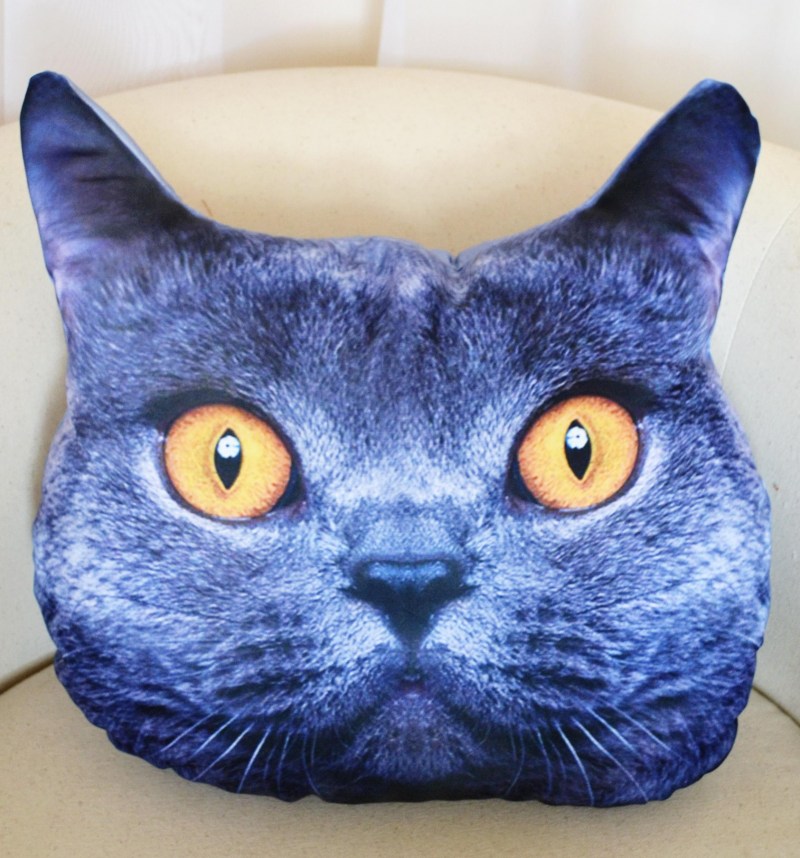 Сибирский голубая кошка короткошерстная