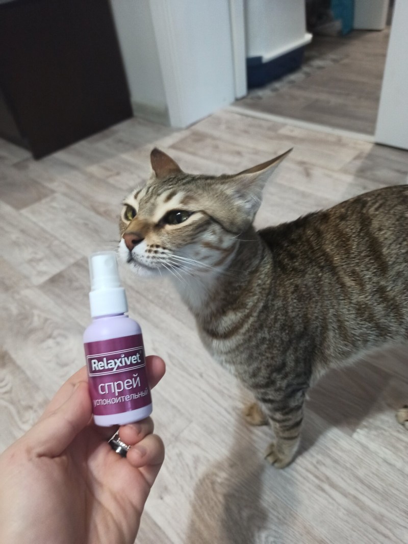 Релаксивет таблетки для кошек