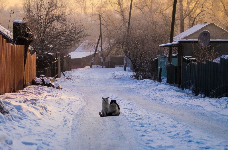 Зимний двор в деревне
