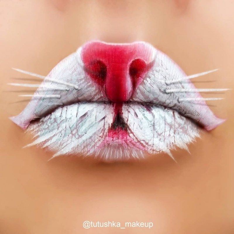 Носик котенка