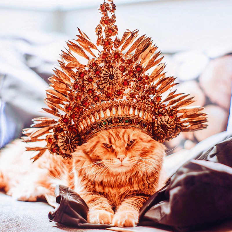 Кот котлета Кристина Макеева