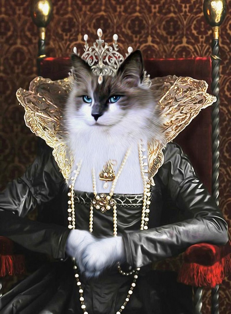 Кот Султан