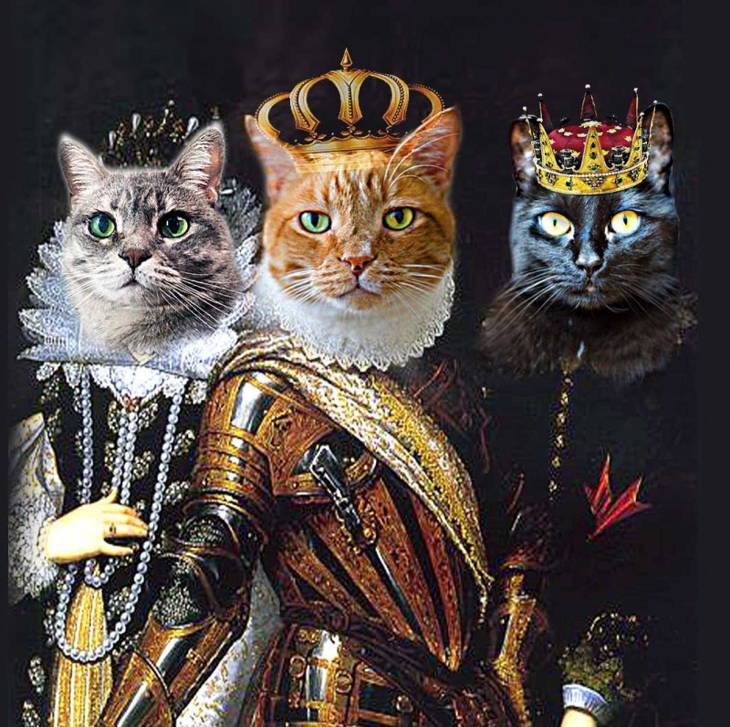 Кот царь
