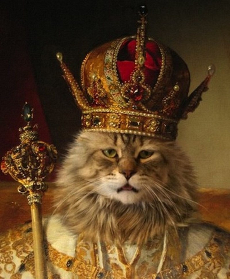 Портрет кота Алексея Михайловича царя