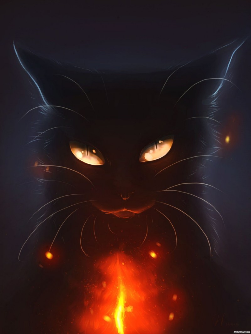 Коты-Воители. Длинные тени