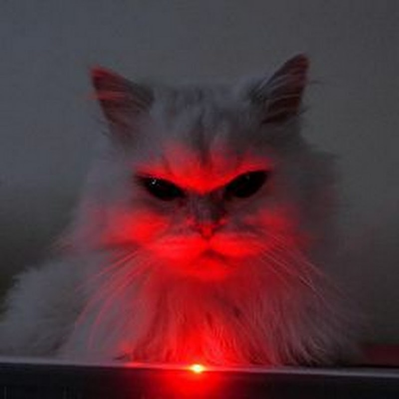 Эстетика злые котики