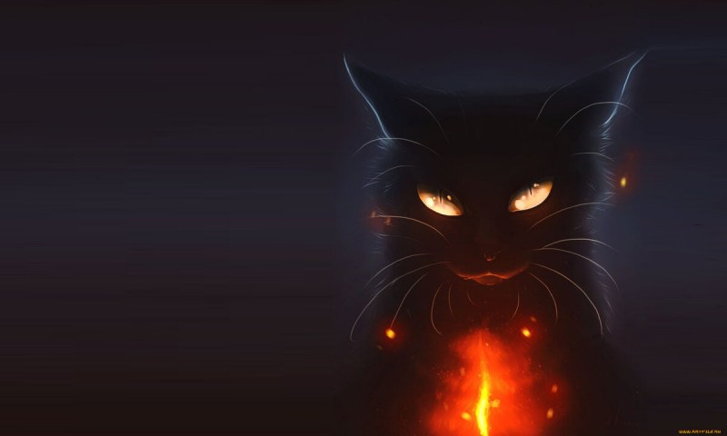Загадочный кот