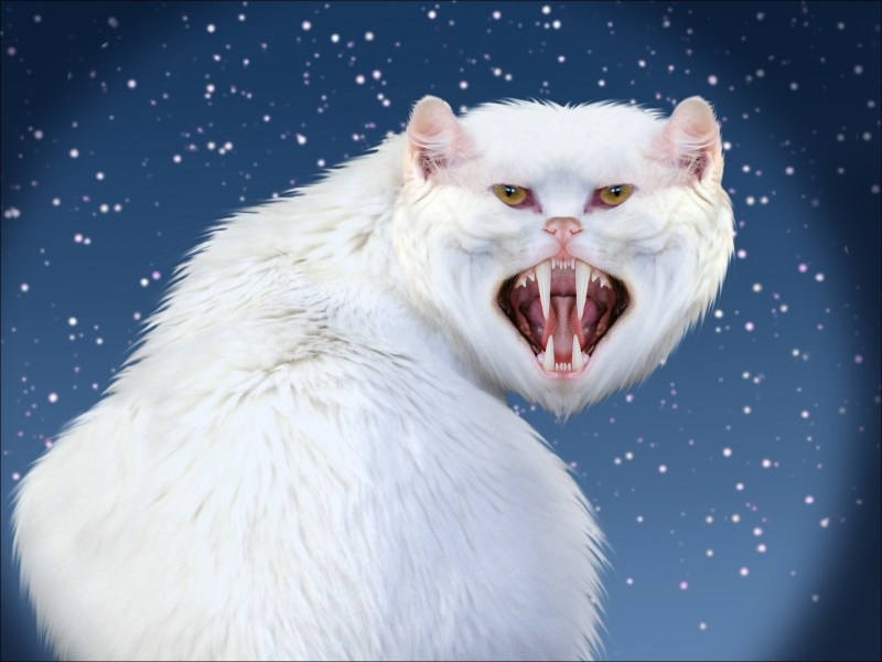 Злобная кошка